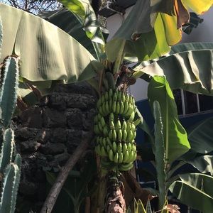 Meet your Posher, Lala